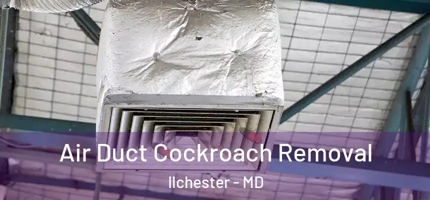  Air Duct Cockroach Removal Ilchester - MD