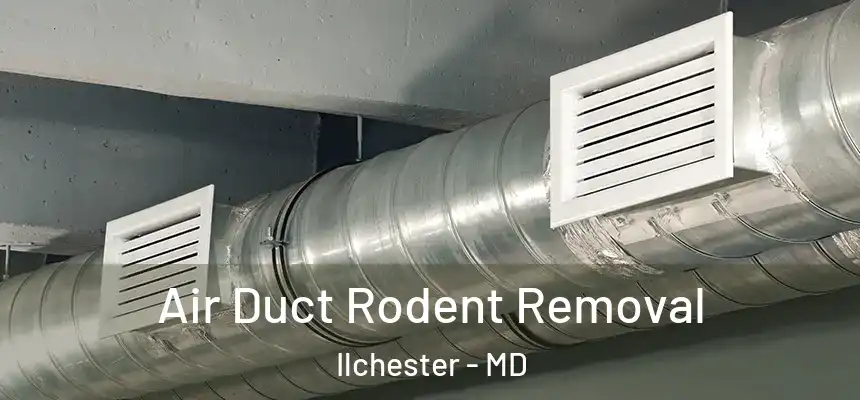  Air Duct Rodent Removal Ilchester - MD