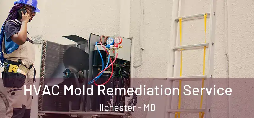  HVAC Mold Remediation Service Ilchester - MD