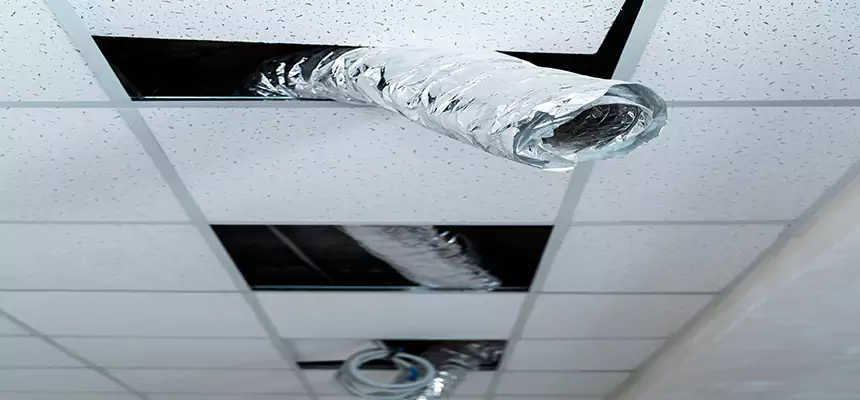 Our Air Duct Pet Hair Removal Services in Ilchester, MD