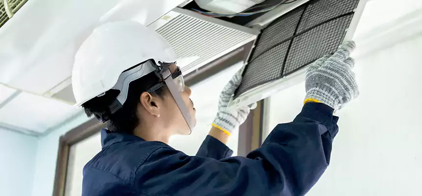 Our Mold & Mildew Removal from Air Ducts Services in Ilchester, MD