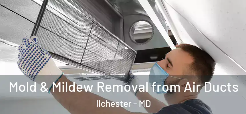 Mold & Mildew Removal from Air Ducts Ilchester - MD