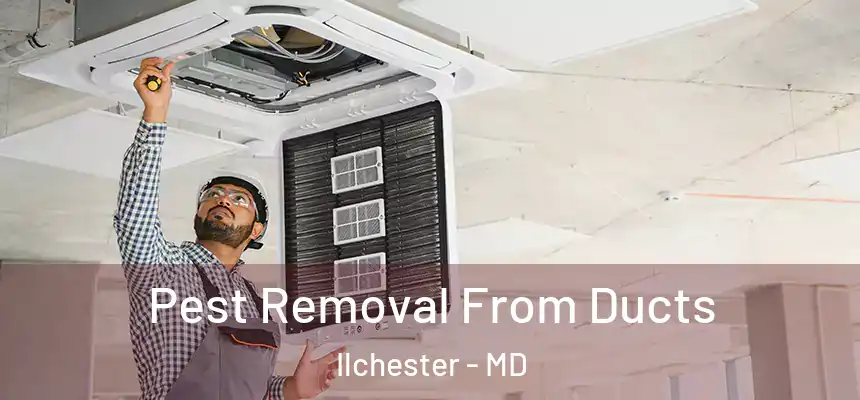  Pest Removal From Ducts Ilchester - MD