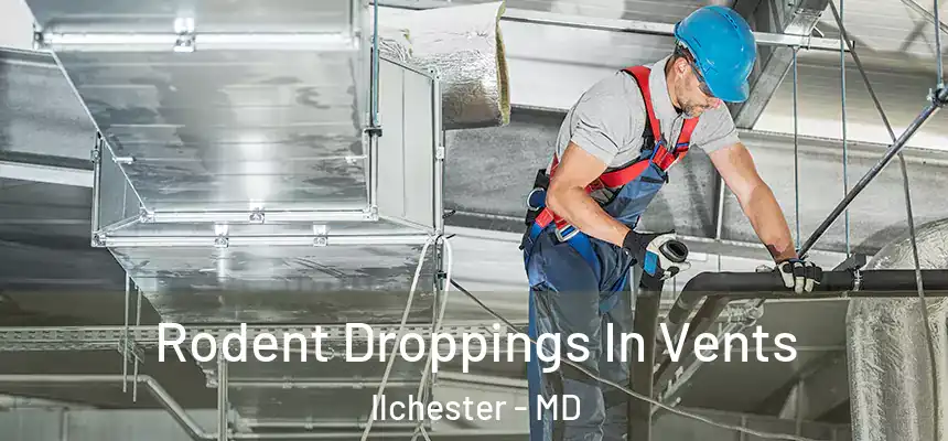  Rodent Droppings In Vents Ilchester - MD