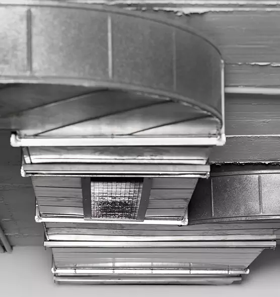 Professional Air Duct Pet Hair Removal in Ilchester, MD