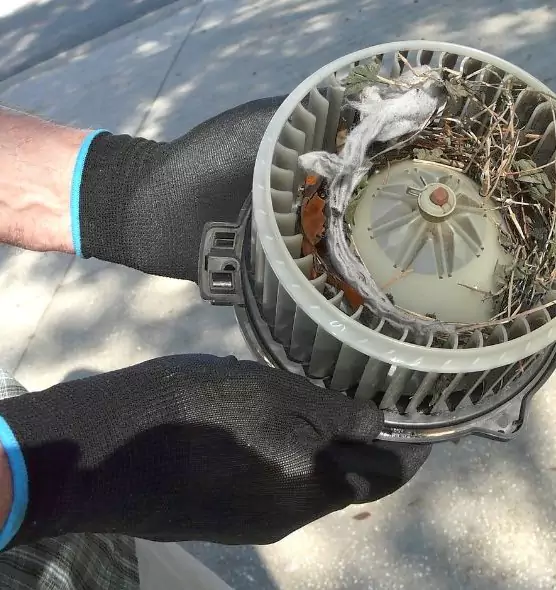 About Air Duct Rat Removal in Ilchester, MD