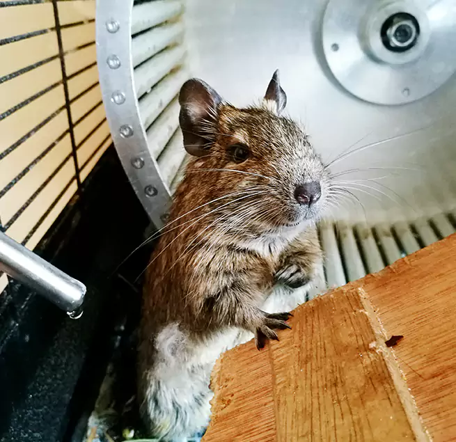 Why Homeowners & Businesses Trust Us Ilchester, MD