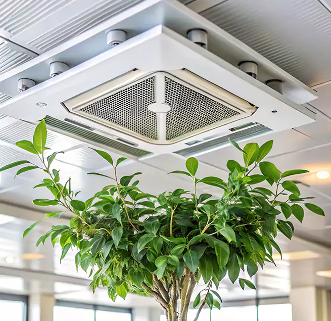 Why Homeowners & Businesses Trust Us in Ilchester, MD